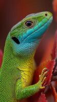 Colorful lizard perched on vibrant foliage during a sunny day in a tropical environment photo
