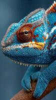 Striking close-up of a blue chameleon perched on a branch showcasing vibrant colors and intricate textures in natural lighting photo