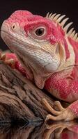 Colorful lizard resting on a log, showcasing its vivid hues in a natural setting photo