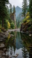 Scenic river surrounded by towering trees and rocky cliffs in a tranquil forest setting during autumn photo
