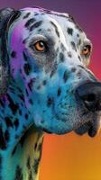 Colorful Dalmatian portrait with vibrant background showcasing artistic expression and animal beauty photo