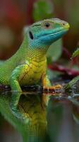Lizard with vibrant green and blue colors perched by a reflective water surface in a lush environment photo