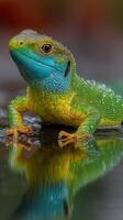 Colorful lizard posing on wet surface, showcasing vibrant hues and detailed textures in natural habitat during daylight photo