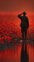 Soldier saluting in a field of poppies during sunset with reflections in water photo