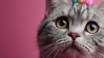 Cute gray cat with vibrant eyes and colorful accessories against a pink background photo