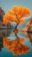 Vibrant orange tree stands alone on rocky shore reflecting in calm water during clear daylight photo