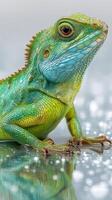 Colorful lizard displays vibrant blue and green hues while perched on a reflective surface in a bright environment photo