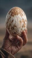 Unique hand holding an ornate, feather-patterned egg at an outdoor location with a dramatic sky photo