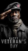 Celebrating veterans on Veterans Day with a solemn salute and respect for service and sacrifice photo