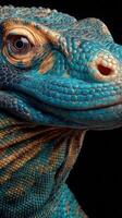 Colorful close-up of a blue lizard revealing intricate textures and patterns in its skin under studio lighting photo