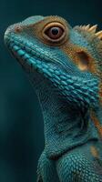Close-up of a vibrant blue lizard highlighting its intricate scales and unique features in a dark setting photo