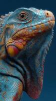 Colorful lizard with intricate patterns basking under soft lighting in a detailed close-up view photo