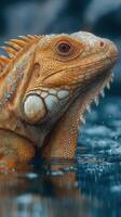 Lizard resting by the water at dawn showcases intricate details and natural setting in its habitat photo