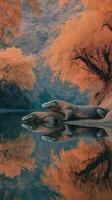 Two monitor lizards basking by a tranquil river surrounded by autumn foliage at mid-afternoon in a serene natural setting photo