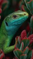 Vibrant green lizard resting among colorful foliage in a tropical environment at dusk photo