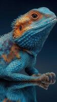 Colorful lizard perched gracefully against a dark background showcasing vivid scales and unique patterns photo