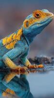 Colorful blue and orange lizard basking by a reflective surface in a natural habitat during daylight hours photo