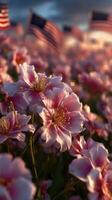 Colorful flowers bloom in a vibrant field near flags at sunset during a serene evening in spring photo