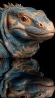Lizard sculpture with intricate detailing reflecting on a dark surface photo