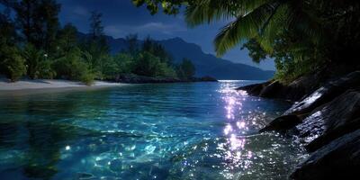 Sparkling waters reflect moonlight along a tropical shoreline at night near lush vegetation photo