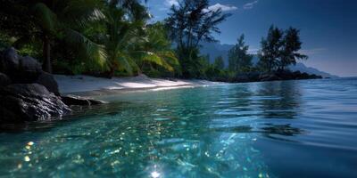Calm turquoise waters lap gently against a tropical shoreline under a serene evening sky photo