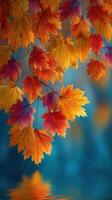 Vibrant autumn leaves reflect on a tranquil surface during a serene fall day in a scenic natural setting photo