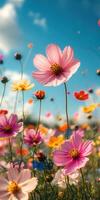 Vibrant wildflower field under a clear blue sky during sunny daytime in spring season photo