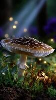 Beautiful mushroom stands amidst lush greenery and soft sunlight in the forest during early morning hours photo