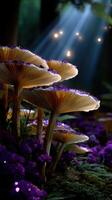 Magical glowing mushrooms in a mystical forest illuminated by soft rays of light during twilight hours photo