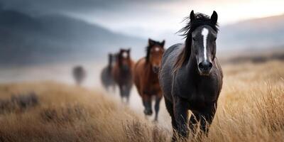Wild horses wander through a misty grassland during early morning light in a serene natural landscape photo