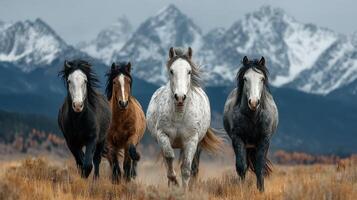 Majestic horses running through a stunning landscape with mountains in the background during a cloudy day photo