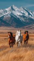 Horses running freely across a golden field with majestic mountains in the background during a sunny day photo