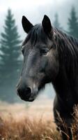 Majestic black horse standing in misty landscape surrounded by trees and tall grass during early morning hours photo