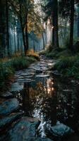 Serene forest path reflects autumn hues during early morning light in a tranquil woodland setting photo