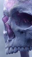 Intricate details of a human skull showcasing texture and color variations under ambient light photo