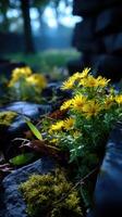 Wildflowers bloom among stones in a serene forest setting on a cloudy day photo