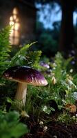 Mushroom nestled in dew-covered greenery near a stone structure at dusk photo