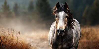 Majestic gray horse runs through a misty field at dawn in a serene countryside landscape photo