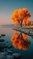 Vibrant autumn trees reflect in calm water along a serene lakeside at sunrise photo