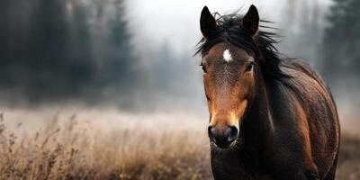 Majestic horse stands in a misty field at dawn, showcasing the beauty of nature and wildlife photo