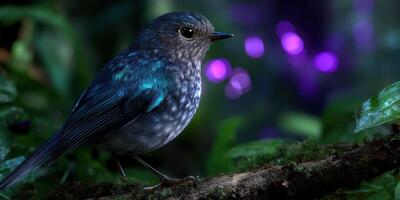 Colorful bird perched on a branch in lush foliage with glowing lights in the background during twilight photo