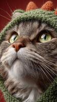 Cute cat wearing a green knitted hat with dragon spikes against a red background in a close-up shot photo