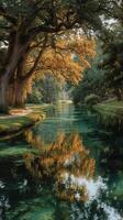 Tranquil river flowing through a wooded area with golden foliage reflecting on the water's surface in the late afternoon photo