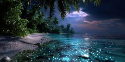 Calm tropical beach at night with calm waters and shimmering reflections photo