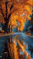 Vibrant autumn colors reflect on rain-soaked road lined with trees in serene neighborhood photo
