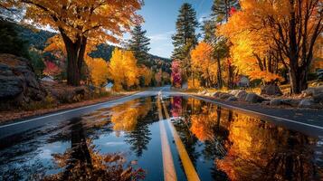Beautiful autumn landscape with vibrant fall foliage reflecting on a wet road in a peaceful rural setting photo