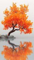 Vibrant orange tree reflecting in calm water on a serene autumn day near a smooth stone shoreline photo