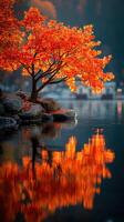 Vibrant orange tree reflects in calm lake during autumn sunset in tranquil location photo