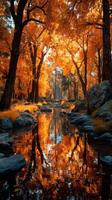 Autumn trees reflecting in a calm stream at sunset in a peaceful forest setting photo