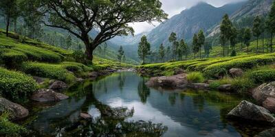 Lush green landscape with a serene river reflecting mountains during a cloudy day photo
